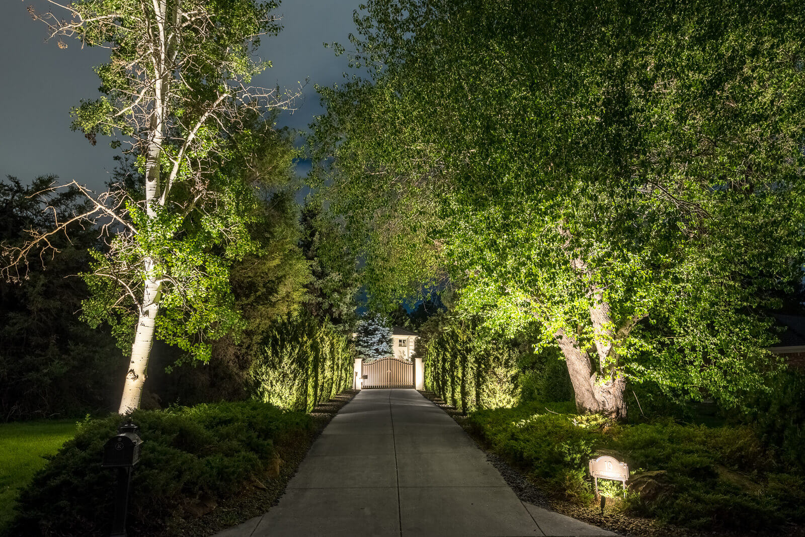 A well-lit driveway flanked by trees, leading to a gate at the end. There are shrubs along the path.