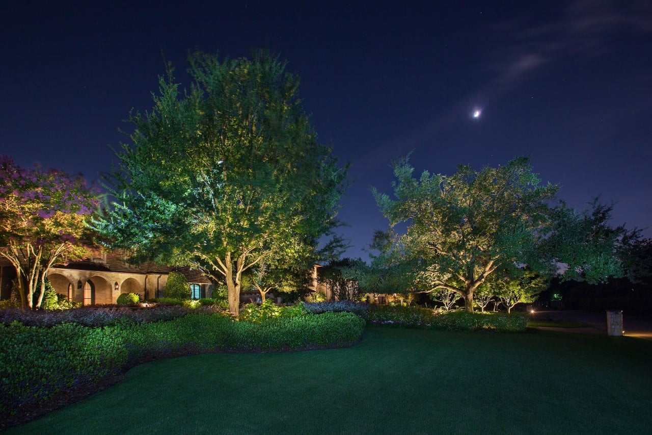 A landscaped garden at night with illuminated trees and a crescent moon in a clear sky.