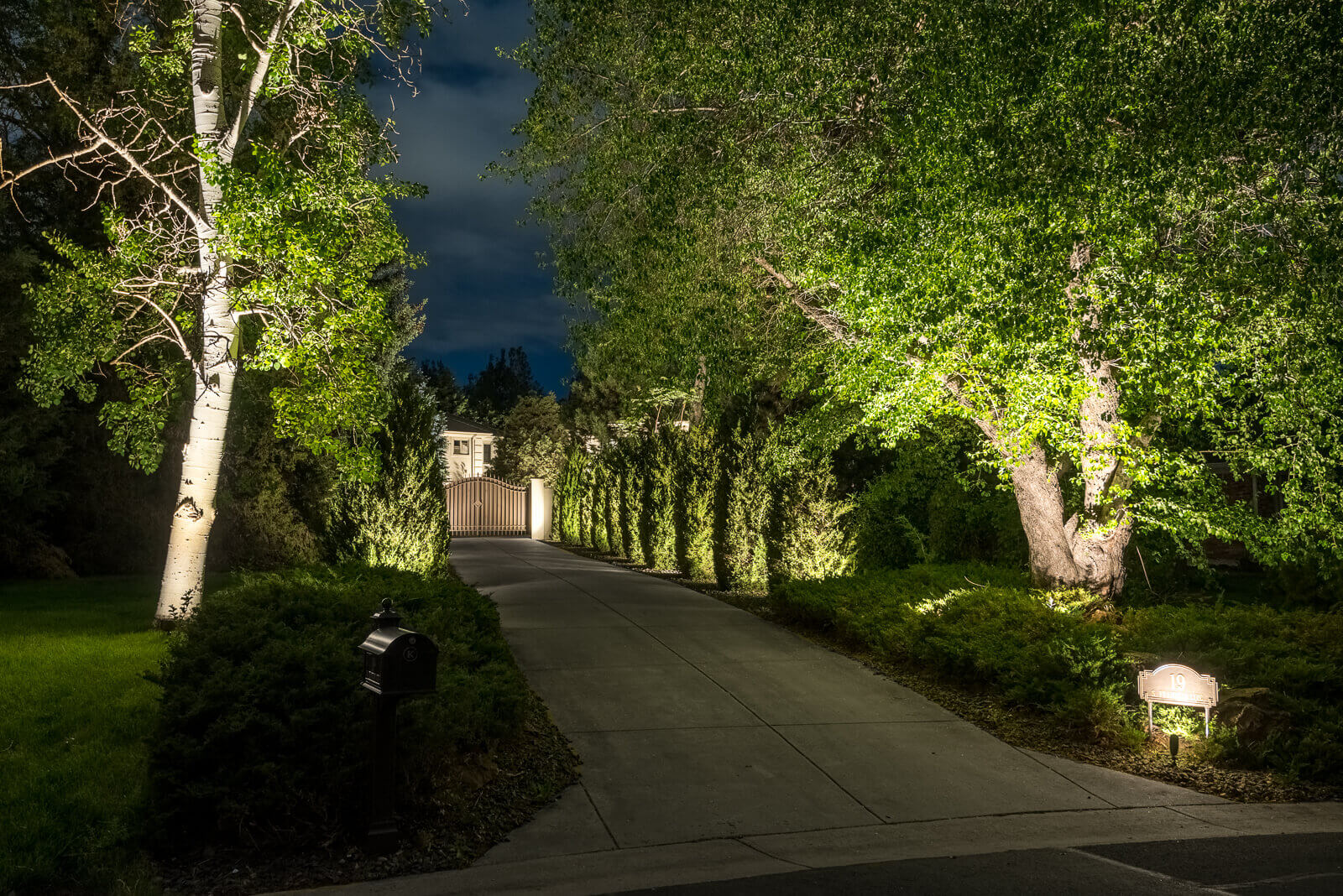 Illuminated driveway bordered by trees and shrubs, leading to a gate at night.