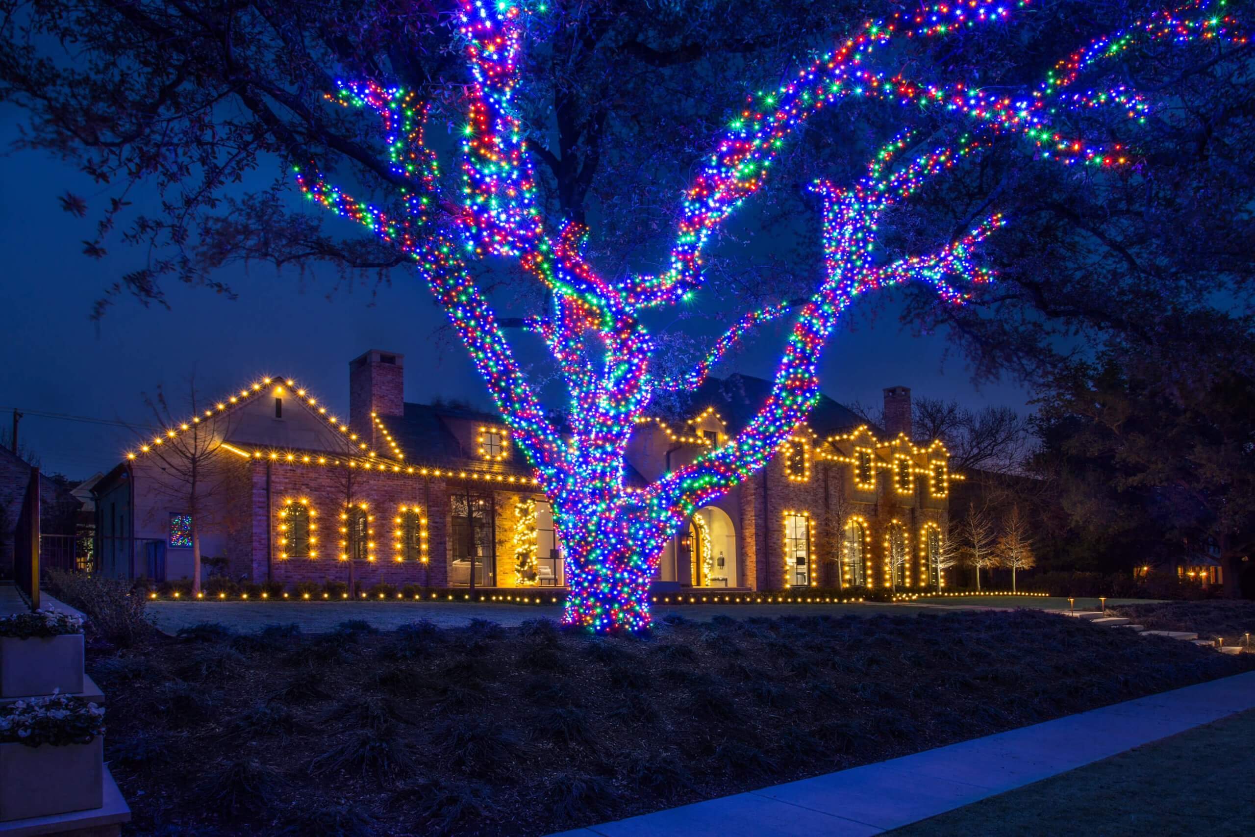 A house decorated with colorful Christmas lights and a tree wrapped in blue and multicolored lights at night.