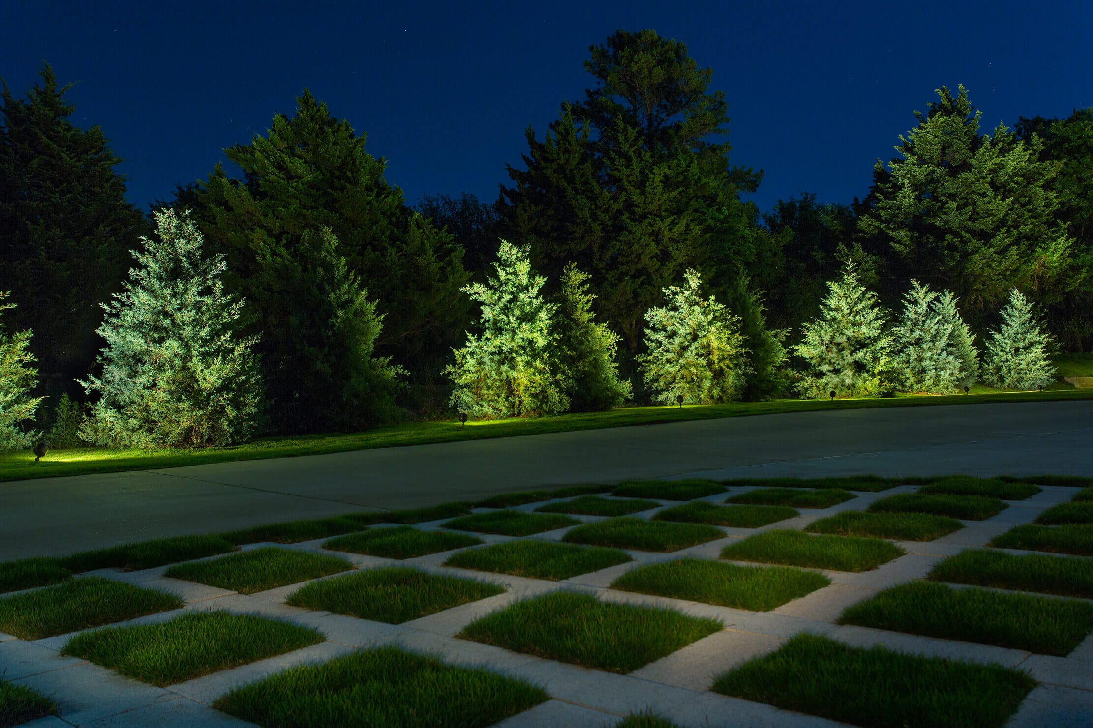 A row of evergreen trees illuminated with accent lighting alongside a geometric concrete paver driveway with grass grid inserts.