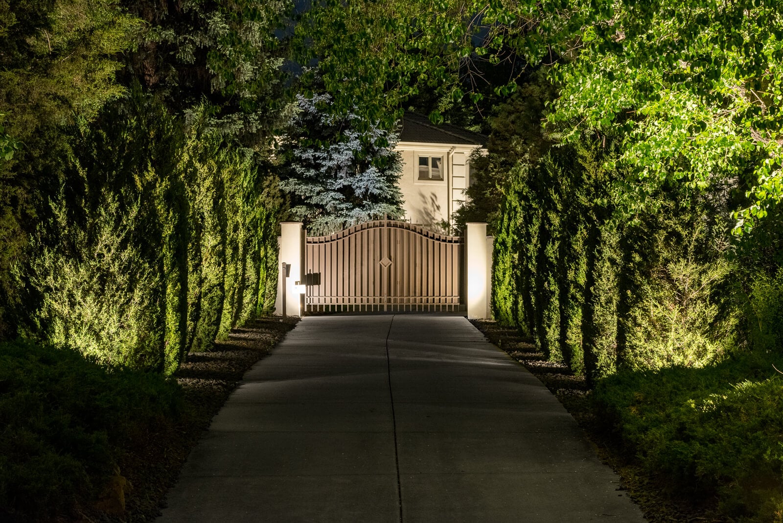 A dimly lit driveway flanked by tall green hedges leading to a wooden gate and a house in the background.