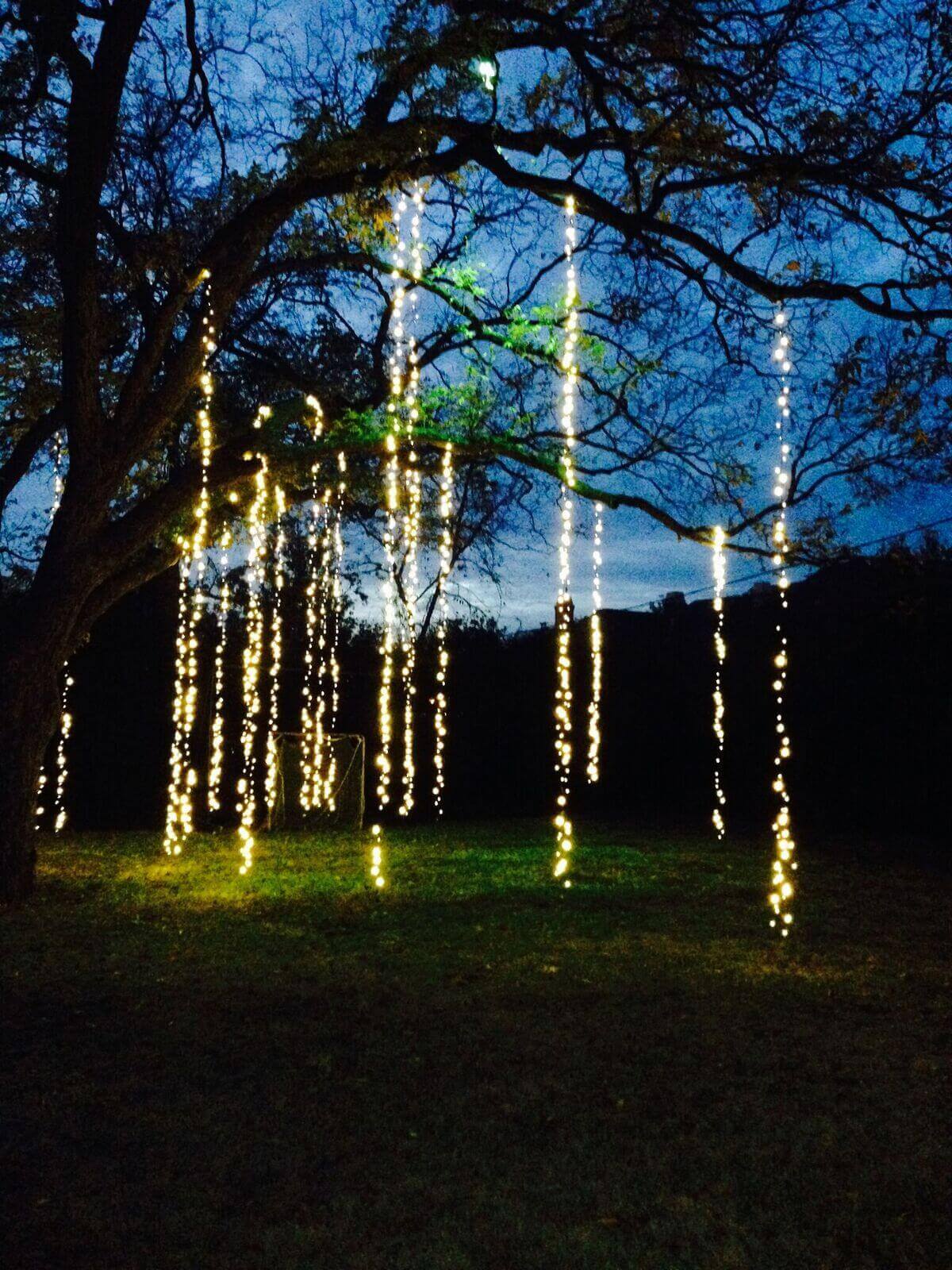 A tree adorned with hanging string lights, creating a festive atmosphere in a dark blue sky background.