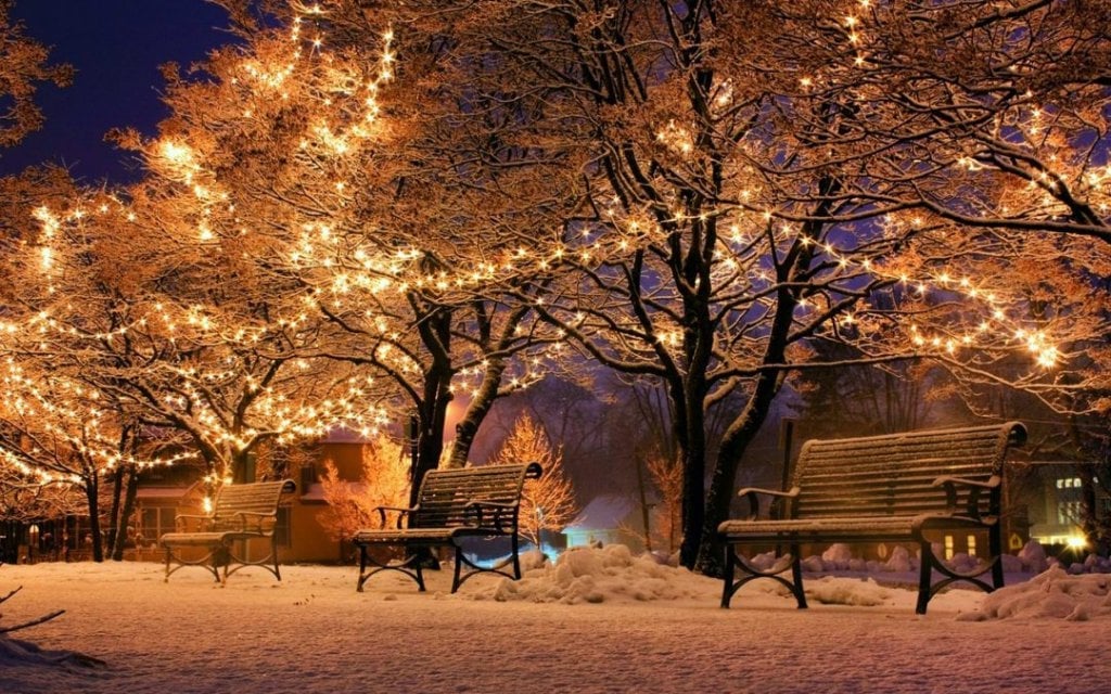 Snowy park scene at night with benches under trees adorned with warm glowing lights.